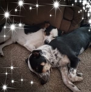 Meet your Posher, Pamela